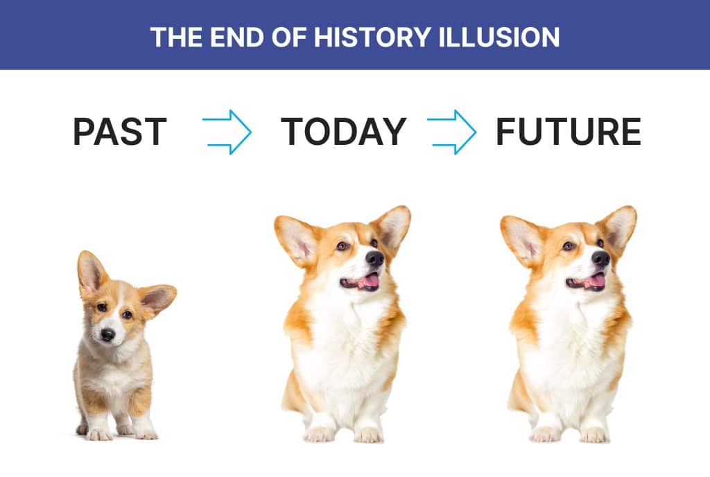 Illustration of the "end of history" illusion.